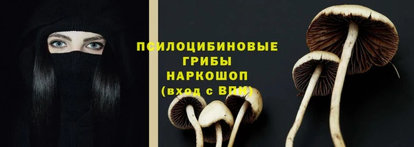 спайс Алзамай