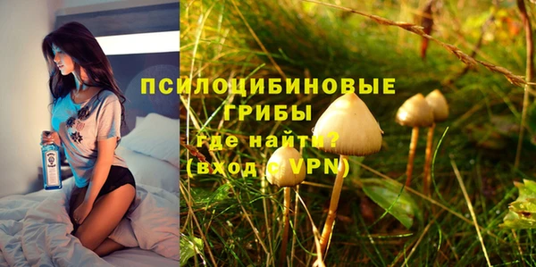 прущие грибы Алексеевка
