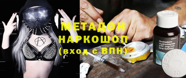 прущие грибы Алексеевка