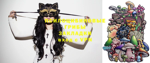 спайс Алзамай
