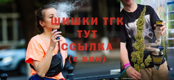 спайс Алзамай
