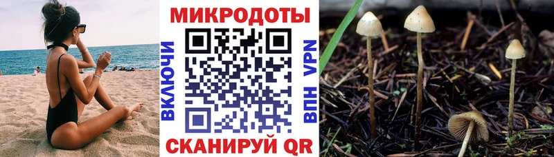 Псилоцибиновые грибы GOLDEN TEACHER  купить наркотик  Ветлуга 